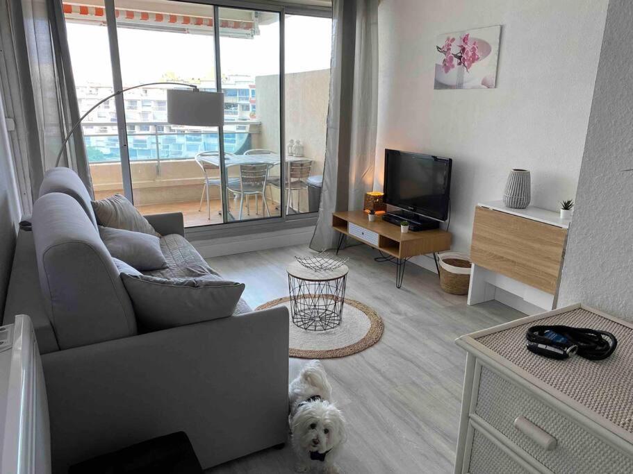 Joli Studio Vue Mer Et Port Mauguio Exterior foto